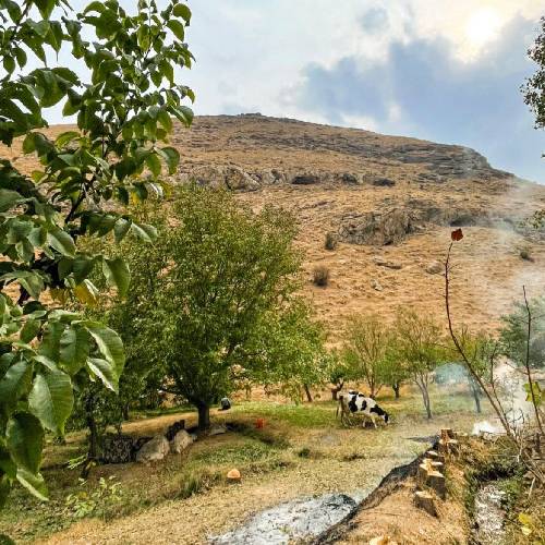  اوایل با رفقا سر کوچه فیریک هر کی میخواد رد شه باس بخره بیلیط